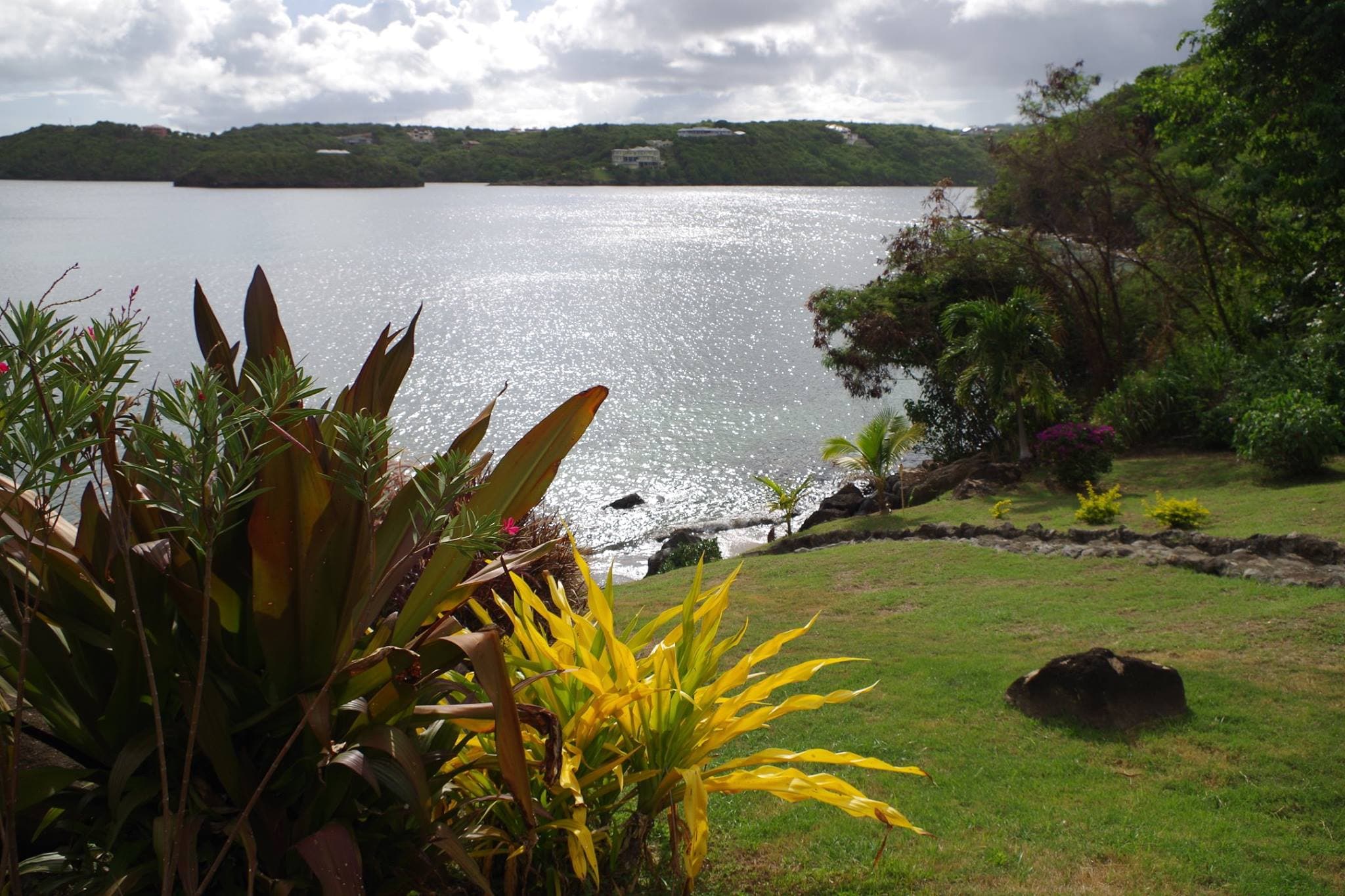 Tropical garden